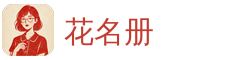 花名册